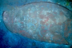 Debris-3