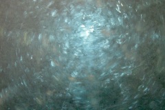 Shimmering-8
